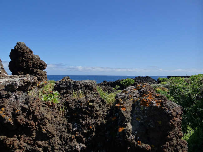 Natur und Lavafels auf La Palma