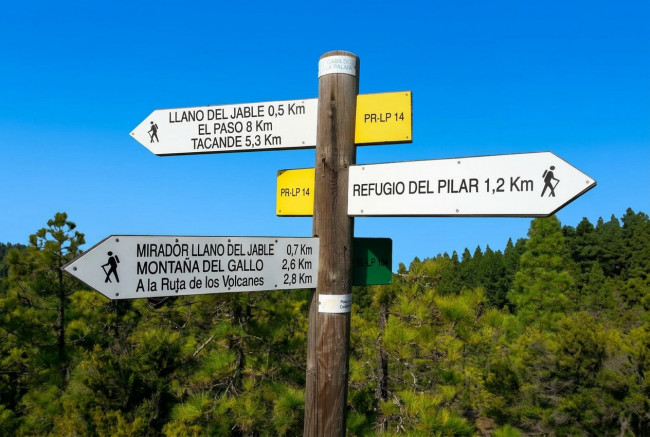 El Pilar Kiefernwald auf La Palma
