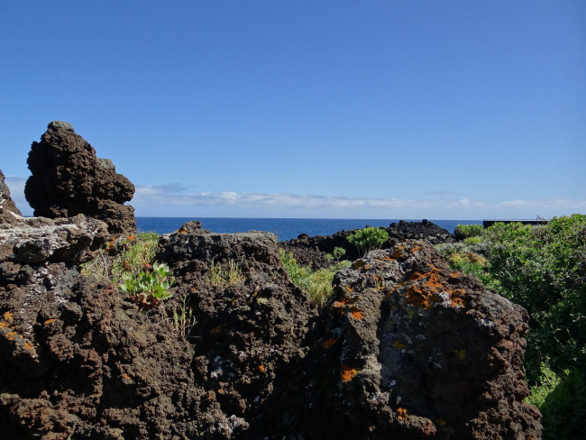 Natur und Lavafels auf La Palma