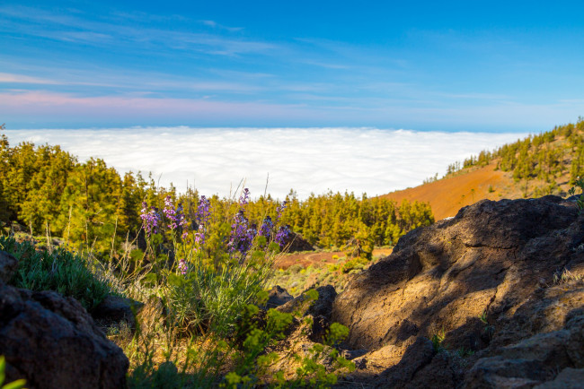 Aussicht La Palma